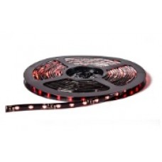 Rollo Led Smd 3528 Exterior Blanco 24v (por Metro)